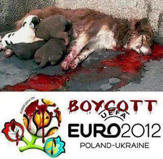 Euro 2012 - The Islamic Humane Society for Animals