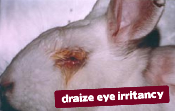 Rabbit Animal Testing